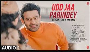Udd Jaa Parindey Lyrics