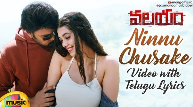 Ninnu Chusake Lyrics