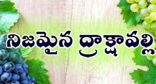 Nijamaina Drakshavalli Neeve Lyrics