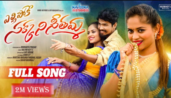 Yellipoke Sakkani Seethamma Lyrics